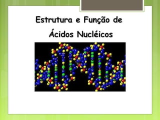 Estrutura e Função deEstrutura e Função de
Ácidos NucléicosÁcidos Nucléicos
 