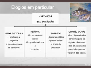 Elogios em particular
Louvores
em particular

PEIXE DE TOBIAS
- o fel sara a
cegueira;

o coração expulsa
os demónios;

RÉMORA

-tão pequeno no
corpo e
tão grande na força
e
no poder;

TORPEDO
-descarga elétrica
que faz tremer

o braço do
pescador;

QUATRO-OLHOS

-dois olhos voltados
para cima para se
vigiarem das aves;
-dois olhos voltados
para baixo para se
vigiarem dos peixes.

13/24

 