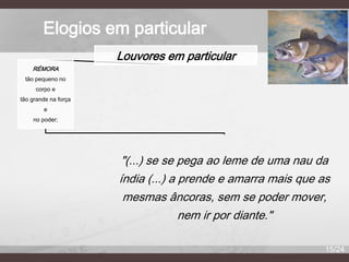 Elogios em particular
Louvores em particular
RÉMORA
tão pequeno no
corpo e
tão grande na força

e
no poder;

"(...) se se pega ao leme de uma nau da
índia (...) a prende e amarra mais que as
mesmas âncoras, sem se poder mover,
nem ir por diante."
15/24

 
