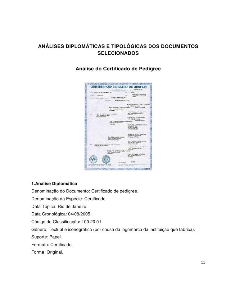 tipologia