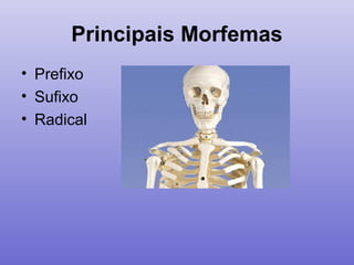 Principais Morfemas
• Prefixo
• Sufixo
• Radical
 