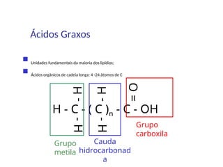 Ácidos Graxos
 Unidades fundamentais da maioria dos lipídios;
 Ácidos orgânicos de cadeia longa: 4 -24 átomos de C
H - C - ( C )n - C - OH
-
H
-
H
-
H
-
H
=
O
Grupo
carboxila
Cauda
hidrocarbonad
a
Grupo
metila
 