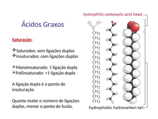 Ácidos Graxos
Saturação:
Saturados: sem ligações duplas
Insaturados: com ligações duplas
Monoinsaturado: 1 ligação dupla
Poliinsaturado: >1 ligação dupla
A ligação dupla é o ponto de
insaturação
Quanto maior o número de ligações
duplas, menor o ponto de fusão.
 