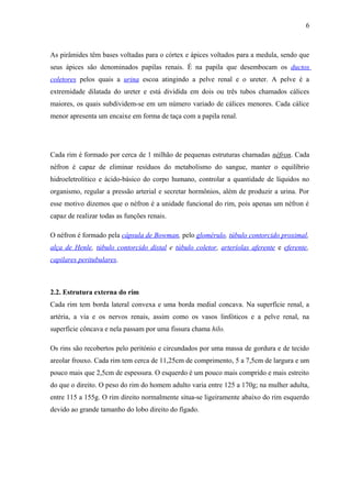 Estrutura e funcionamento do rim humano | DOC
