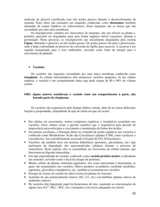 23
molécula de glicerol esterificada com três ácidos graxos) durante o desenvolvimento da
semente. Estes óleos são estocados em organelas conhecidas como oleossomos (também
chamadas de corpos lipídicos ou esferossomos). Estas organelas são as únicas que são
circundadas por uma meia membrana.
Os triacilgliceróis contidos nos oleossomos de sementes, não são móveis na planta e,
portanto, precisam ser degradados para uma forma orgânica móvel (sacarose), durante a
germinação. Neste processo, os triacilgliceróis são inicialmente degradados pela enzima
Lipase, liberando o glicerol e os três ácidos graxos. Os ácidos graxos vão para o glioxissomo,
onde é dada continuidade no processo de conversão de lipídio para sacarose. A sacarose é em
seguida transportada para o eixo embrinário, servindo como fonte de energia para o
crescimento da plântula.
• Vacúolos
Os vacúolos são organelas circundadas por uma única membrana conhecida como
tonoplasto. As células meristemáticas têm numerosos vacúolos pequenos. Já nas células
maduras, o vacúolo é um compartimento único que pode ocupar de 80 a 90% do volume
celular.
OBS: alguns autores consideram o vacúolo como um compartimento à parte, não
fazendo parte do citoplasma.
Os vacúolos são responsáveis pelo balanço hídrico celular, além de ter outras deferentes
funções e propriedades, dependendo do tipo de célula em que ele ocorre:
• Em células em crescimento, muitos compostos orgânicos e inorgânicos acumulam nos
vacúolos. Estes solutos criam a pressão osmótica que é responsável pela pressão de
turgescência necessária para o crescimento e manutenção da forma dos tecidos.
• Em plantas suculentas, a flutuação diária no conteúdo de ácidos orgânicos nos vacúolos é
conhecida como Metabolismo Ácido das Crassuláceas (plantas CAM, como cactáceas e
crassuláceas). Isto está diretamente associado à fixação de CO2 (Fotossíntese).
• Vacúolos são também ricos em enzimas hidrolíticas (proteases, glicosidases, etc.) que
participam da degradação das macromoléculas celulares durante o processo de
senescência. Neste aspecto, eles se assemelham aos lisossomos de células animais, que
funcionam na digestão intracelular.
• Um tipo especializado de vacúolo, conhecido como vacúolo protéico neutro, é abundante
em sementes, servindo como o local de estoque de proteínas.
• Muitas células de plantas sintetizam pigmentos, tais como antocianina e betacianina, os
quais são armazenados nos vacúolos. Outros produtos secundários, incluindo alcalóides,
saponinas, glicosídios cianogênicos, etc., também se acumulam nos vacúolos.
• Estoque de cristais de oxalato de cálcio (como em plantas de Araceae).
• Acúmulo de sais potencialmente tóxicos (Na+
, Cl-
, etc.) em halófitas (plantas nativas de
ambientes salinos).
• Os vacúolos têm importante papel na homeostase de íons, mantendo as concentrações de
alguns íons (Ca2+
, PO4
2-
, NO3
-
, etc.) constantes e em níveis adequados no citosol.
 