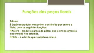 Funções das peças florais
Estame
É órgão reprodutor masculino, constituído por antera e
filete, com as seguintes funções:
Antera – produz os grãos de pólen, que é um pó amarelo
encontrado nos estames.
Filete – é a haste que sustenta a antera.
 