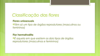 Classificação das flores
Flores unissexuais
Têm só um tipo de órgãos reprodutores (masculinos ou
femininos)
Flor hermafrodita
É aquela em que existem os dois tipos de órgãos
reprodutores (masculinos e femininos)
 