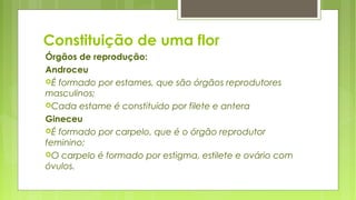 Constituição de uma flor
Órgãos de reprodução:
Androceu
É formado por estames, que são órgãos reprodutores
masculinos;
Cada estame é constituído por filete e antera
Gineceu
É formado por carpelo, que é o órgão reprodutor
feminino;
O carpelo é formado por estigma, estilete e ovário com
óvulos.
 