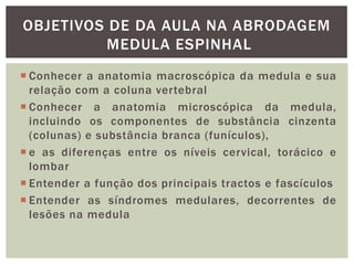  Conhecer a anatomia macroscópica da medula e sua
relação com a coluna vertebral
 Conhecer a anatomia microscópica da medula,
incluindo os componentes de substância cinzenta
(colunas) e substância branca (funículos),
 e as diferenças entre os níveis cervical, torácico e
lombar
 Entender a função dos principais tractos e fascículos
 Entender as síndromes medulares, decorrentes de
lesões na medula
OBJETIVOS DE DA AULA NA ABRODAGEM
MEDULA ESPINHAL
 