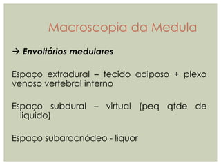  Envoltórios medulares
Espaço extradural – tecido adiposo + plexo
venoso vertebral interno
Espaço subdural – virtual (peq qtde de
liquido)
Espaço subaracnódeo - liquor
Macroscopia da Medula
 