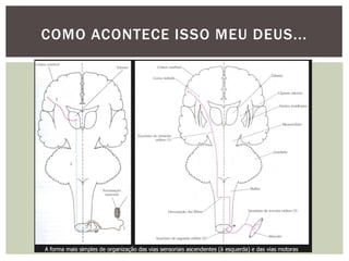 COMO ACONTECE ISSO MEU DEUS...
 