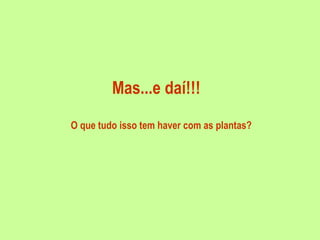 Mas...e daí!!! O que tudo isso tem haver com as plantas? 