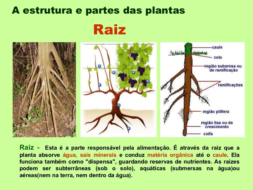 Estrutura Que Conduz água De Um Lugar Para O Outro