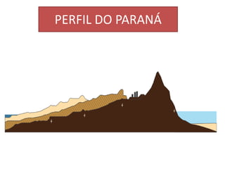 PERFIL DO PARANÁ 
 