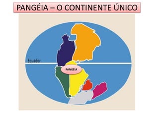 PANGÉIA – O CONTINENTE ÚNICO 
PANGÉIA 
 