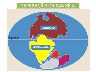 SEPARAÇÃO DA PANGÉIA 
LAURÁSIA 
GONDWANA 
 