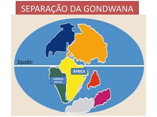 SEPARAÇÃO DA GONDWANA 
ÁFRICA 
AMÉRICA 
DO SUL 
 