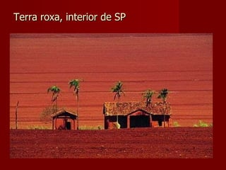 Terra roxa, interior de SP 
