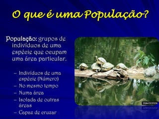 O que é uma População?
População: grupos de
indivíduos de uma
espécie que ocupam
uma área particular.
– Indivíduos de uma
espécie (Número)
– No mesmo tempo
– Numa área
– Isolada de outras
áreas
– Capaz de cruzar
 