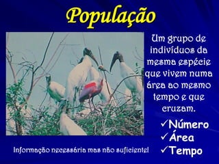 População
Um grupo de
indivíduos da
mesma espécie
que vivem numa
área ao mesmo
tempo e que
cruzam.
Número
Área
TempoInformação necessária mas não suficiente!
 