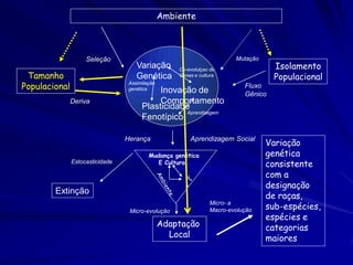 Seleção
Deriva
Fluxo
Gênico
Ambiente
Isolamento
PopulacionalTamanho
Populacional
Aprendizagem Social
Mutação
Adaptação
Local
Extinção
Variação
genética
consistente
com a
designação
de raças,
sub-espécies,
espécies e
categorias
maiores
Estocasticidade
Variação
Genética
Inovação de
Comportamento
Plasticidade
Fenotípico
Assimilação
genética
Aprendizagem
Co-evolulçao de
Genes e cultura
Herança
Mudança genética
E Cultural
Ne
λ
Micro-evolução
Micro- a
Macro-evolução
 