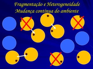 Fragmentação e Heterogeneidade
Mudança contínua do ambiente
 
