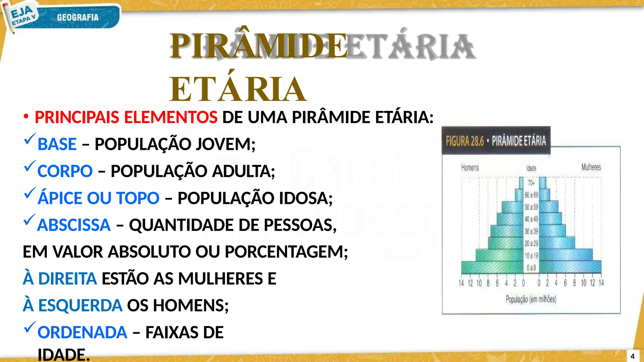 estrutura etaria 2 ano.pptxauladepopulação | PPT