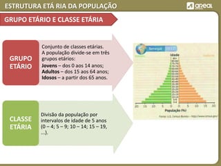 Estrutura Etária da População | PPTX