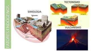 SIMOLOGIA
TECTONISMO
VULCANISMO
FATORESENDÓGENOS
 