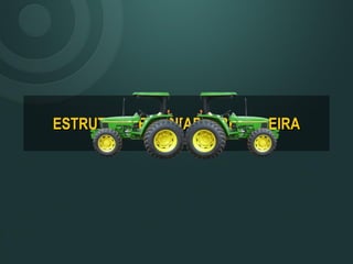 ESTRUTURA FUNDI[ARIA BRASILEIRA
 