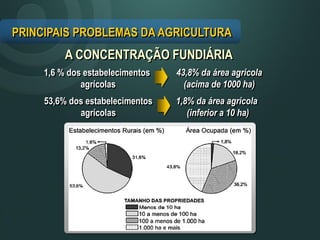 A CONCENTRAÇÃO FUNDIÁRIA
1,6 % dos estabelecimentos
agrícolas
1,8% da área agrícola
(inferior a 10 ha)
PRINCIPAIS PROBLEMAS DA AGRICULTURA
43,8% da área agrícola
(acima de 1000 ha)
53,6% dos estabelecimentos
agrícolas
 