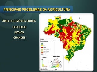 PRINCIPAIS PROBLEMAS DA AGRICULTURA
ÁREA DOS IMÓVEIS RURAIS
PEQUENOS
MÉDIOS
GRANDES
 