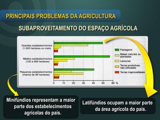 PRINCIPAIS PROBLEMAS DA AGRICULTURA
SUBAPROVEITAMENTO DO ESPAÇO AGRÍCOLA
Minifúndios representam a maior
parte dos estabelecimentos
agrícolas do país.
Latifúndios ocupam a maior parte
da área agrícola do país.
 