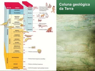 Coluna geológica
da Terra

 