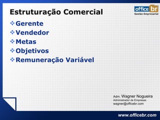 Estruturação Comercial Gerente Vendedor Metas Objetivos Remuneração Variável Adm.  Wagner Nogueira Administrador de Empresas [email_address] 