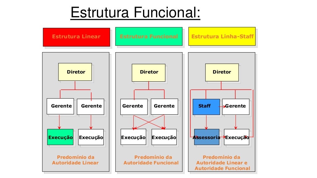 Estrutura Organizacional: Conceito E Tipos | Lucidchart