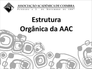 Estrutura
Orgânica da AAC
 