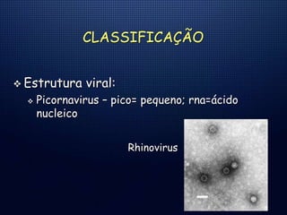 CLASSIFICAÇÃO
 Estrutura viral:
 Picornavirus – pico= pequeno; rna=ácido
nucleico
Rhinovirus
 