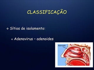 CLASSIFICAÇÃO
 Sítios de isolamento:
 Adenovirus – adenoides
 