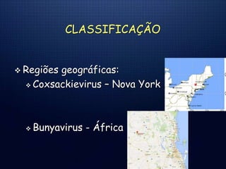 CLASSIFICAÇÃO
 Regiões geográficas:
 Coxsackievirus – Nova York
 Bunyavirus - África
 