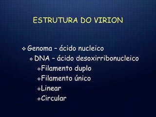 ESTRUTURA DO VIRION
 Genoma – ácido nucleico
 DNA – ácido desoxirribonucleico
Filamento duplo
Filamento único
Linear
Circular
 
