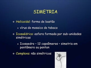 SIMETRIA
 Helicoidal: forma de bastão
 vírus do mosaico do tabaco
 Icosaédrica: esfera formada por sub-unidades
simétricas
 Icosaedro – 12 capsômeros – simetria em
pentâmero ou penton
 Complexa: não simétricos
 