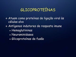 GLICOPROTEÍNAS
 Atuam como proteínas de ligação viral às
células alvo
 Antígenos indutores de resposta imune
 Hemaglutininas
 Neuraminidases
 Glicoproteínas de fusão
 