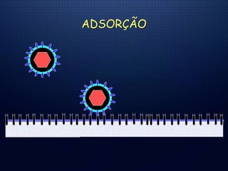 ADSORÇÃO
 