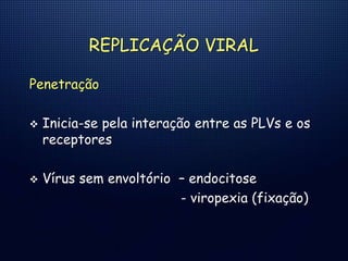 REPLICAÇÃO VIRAL
Penetração
 Inicia-se pela interação entre as PLVs e os
receptores
 Vírus sem envoltório – endocitose
- viropexia (fixação)
 