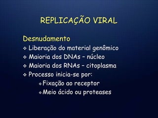 REPLICAÇÃO VIRAL
Desnudamento
 Liberação do material genômico
 Maioria dos DNAs – núcleo
 Maioria dos RNAs – citoplasma
 Processo inicia-se por:
 Fixação ao receptor
 Meio ácido ou proteases
 