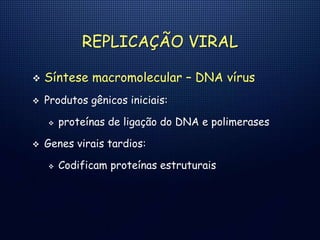 REPLICAÇÃO VIRAL
 Síntese macromolecular – DNA vírus
 Produtos gênicos iniciais:
 proteínas de ligação do DNA e polimerases
 Genes virais tardios:
 Codificam proteínas estruturais
 