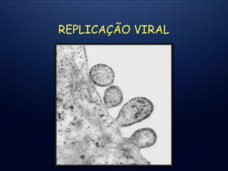 REPLICAÇÃO VIRAL
 
