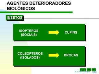 Ir p/ primeira página
INSETOS
CUPINS
COLEOPTEROS
(ISOLADOS)
BROCAS
ISOPTEROS
(SOCIAIS)
AGENTES DETERIORADORES
BIOLÓGICOS
 