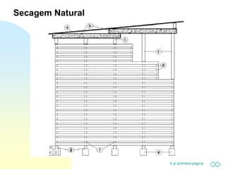 Ir p/ primeira página
Secagem Natural
 